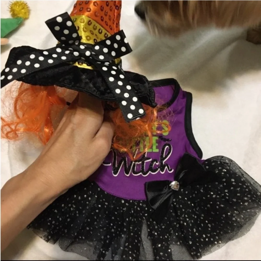 Witch Halloween Costume XS